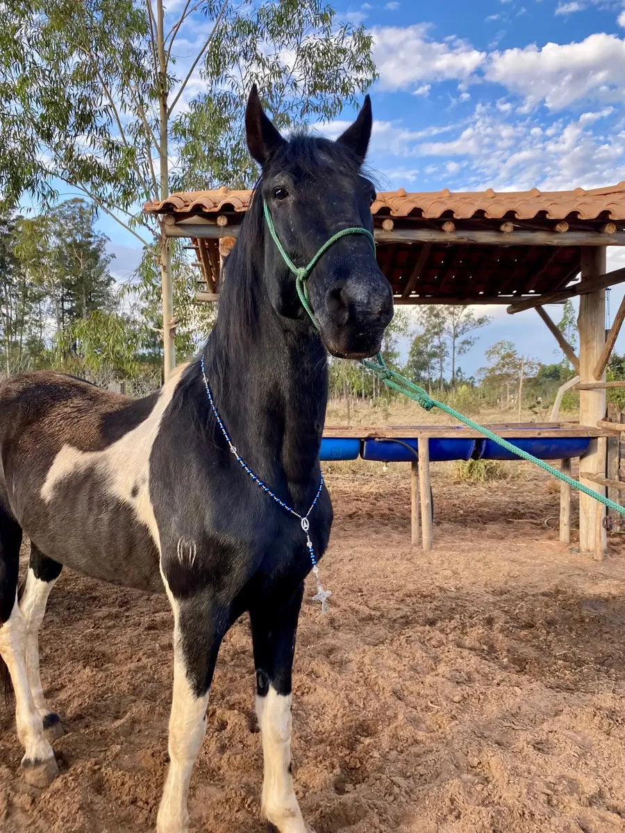 Peitoral Terço Para Cavalo Nossa Senhora Aparecida