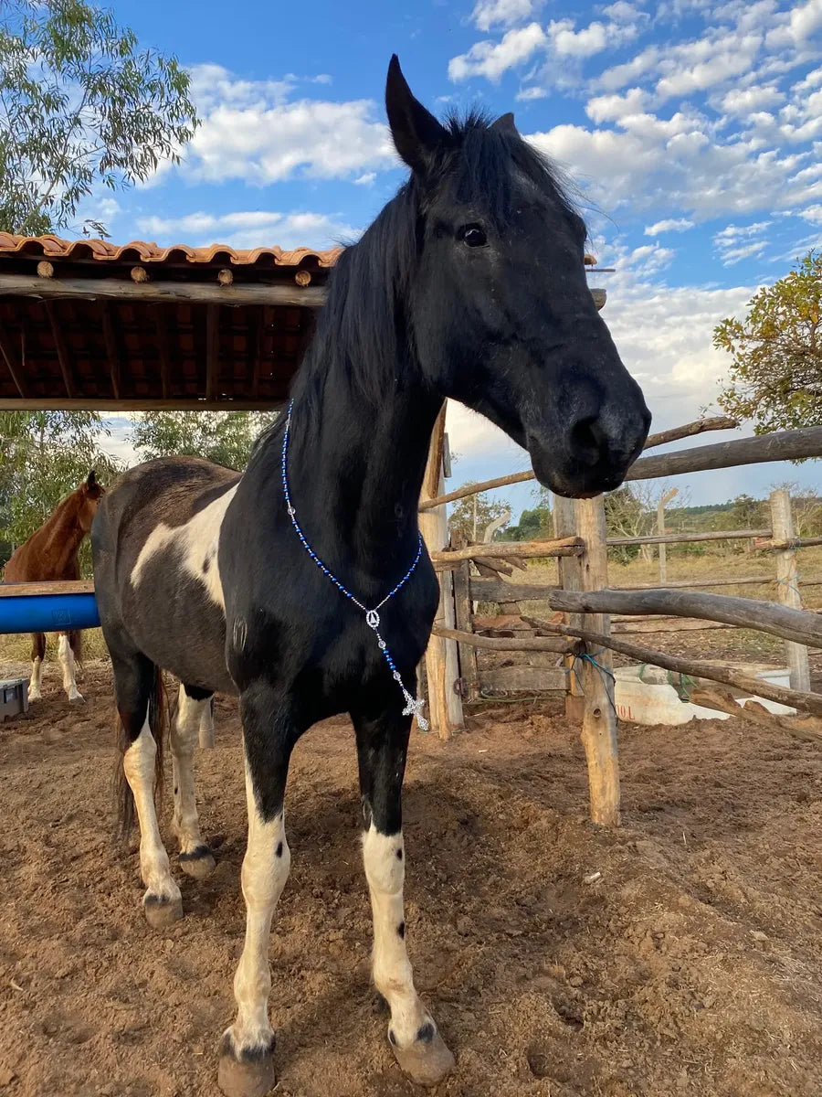 Peitoral Terço Para Cavalo Nossa Senhora Aparecida