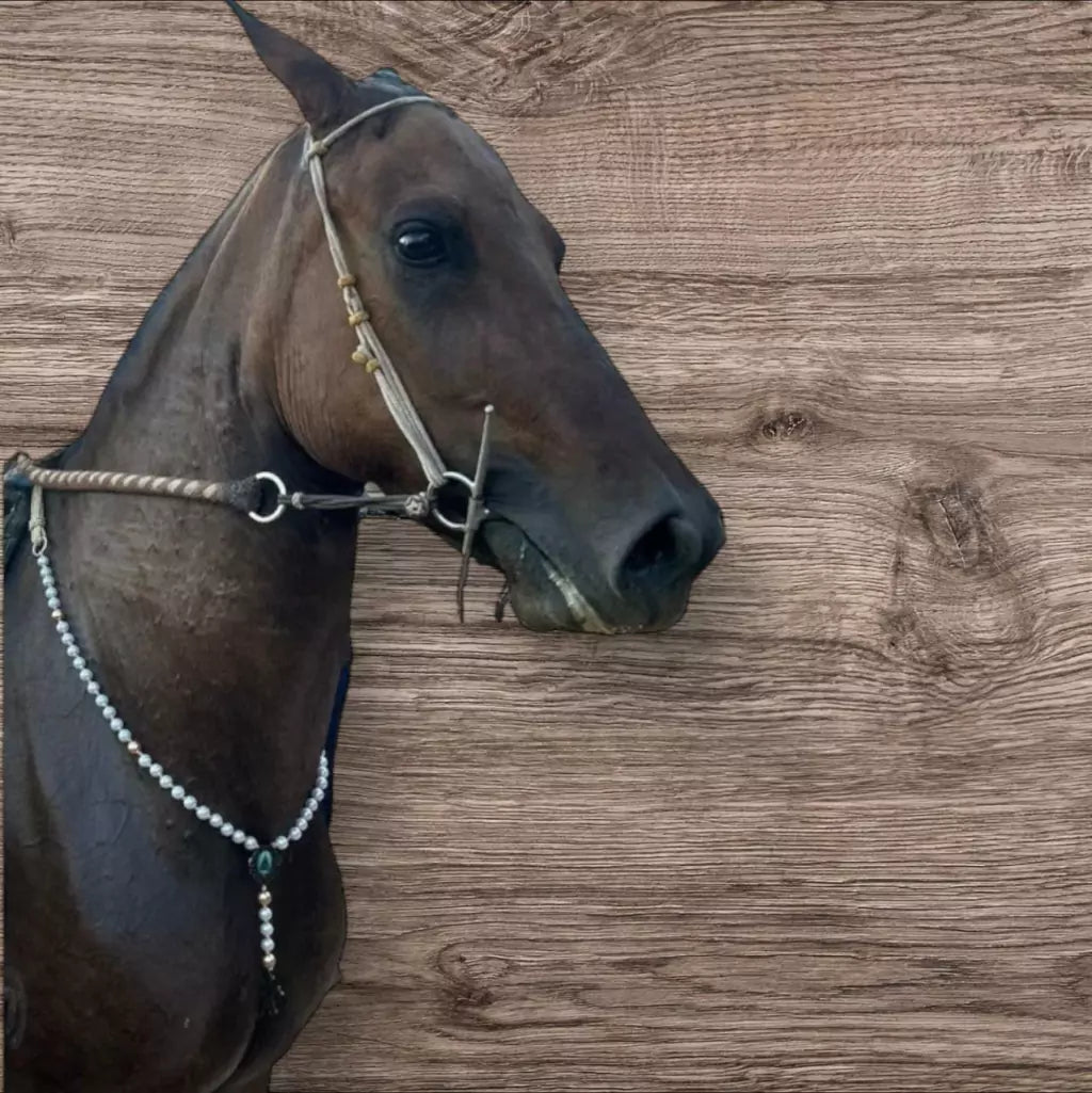 Peitoral de Terço para Cavalo