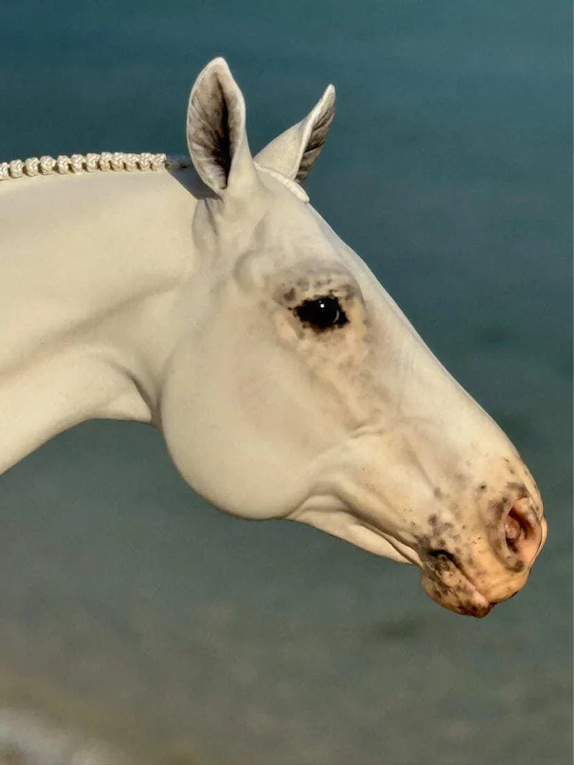 Miniatura de Cavalo