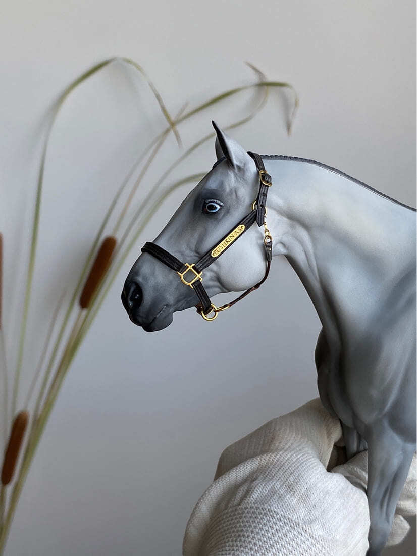 Miniatura de Cavalo